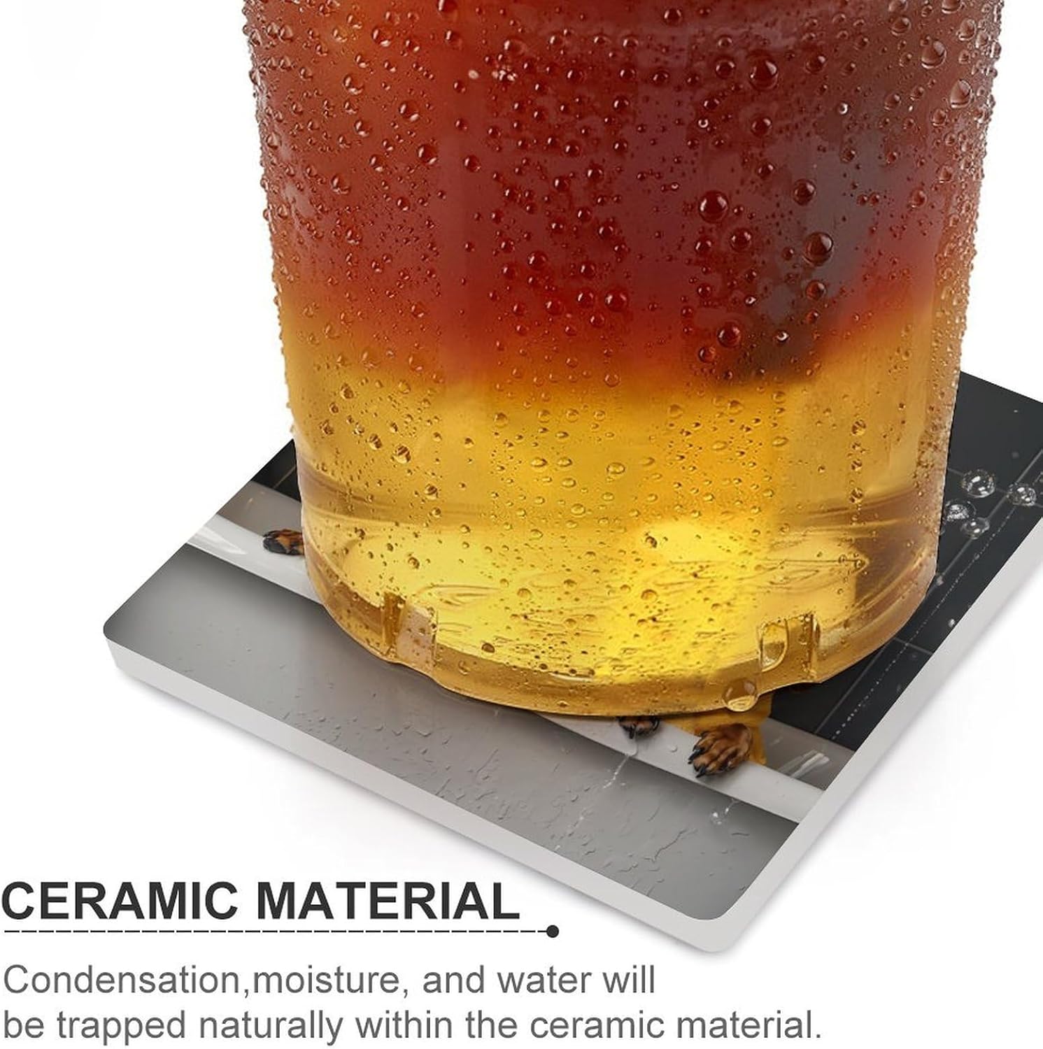 Dachshund Bathing in Bathtub Ceramic Coasters Square Drinks Coaster Coffee Table Decor Table Coaster for Home Bar