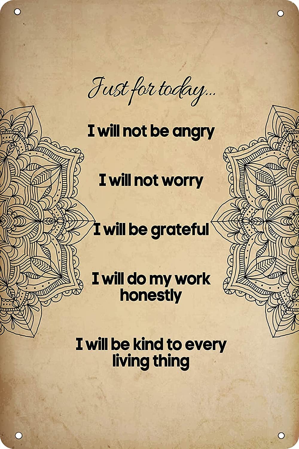 Bioprocess Just For Today I Will Not Be Angry Life Principles Reiki Chakra Healing Yoga Zen Wall Decor Poster Metal Sign 8X12 Inches