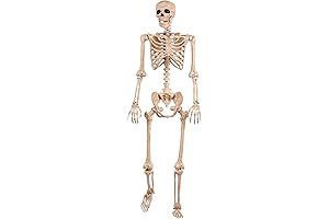 Crazy Bonez Pose-N-Stay Skeleton: The Articulated Full-Size Skeleton for Spooky Home Decor and Educational Fun