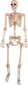 Crazy Bonez Original Pose-N-Stay Halloween Skeleton, 5 FT Life-Size, Realistic, Fully Poseable Indoor & Outdoor Decoration, Durable Plastic Spooky Prop for Yard, Porch, Haunted House
