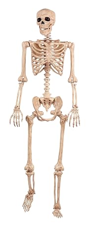 Crazy Bonez Original Pose-N-Stay Halloween Skeleton, 5 FT – Life-Size