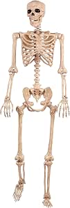 Crazy Bonez 5-Foot Red Poseable Skeleton - Halloween Decoration With Ratchet Joints