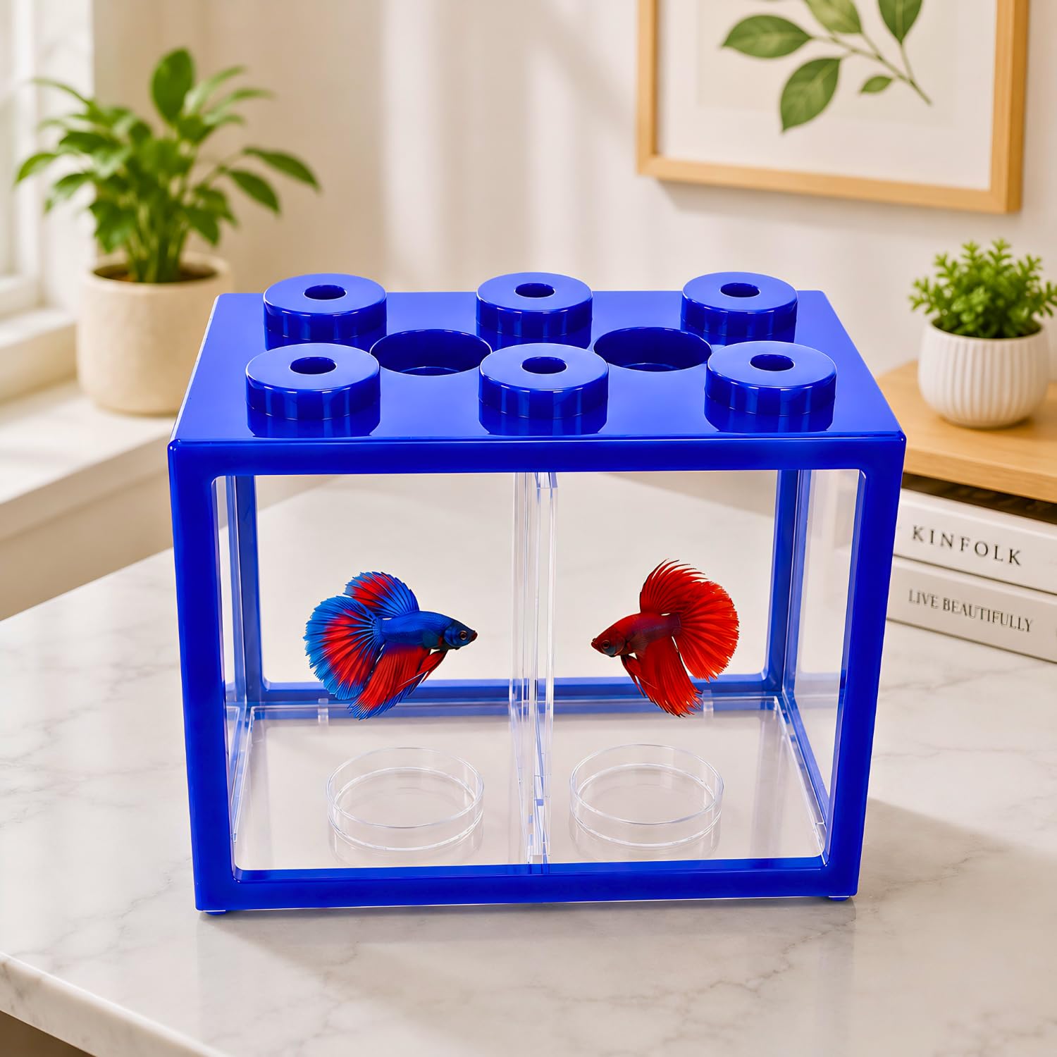 VAYINATO BT-102 Transparent Acrylic Betta Tank with Divider | Random Colour | 2-in-1 Betta Block Mini Fish Aquarium with Lid | Desktop Fish Bowl for Betta, Guppy & Shrimp | Home & Office Decor-image-15