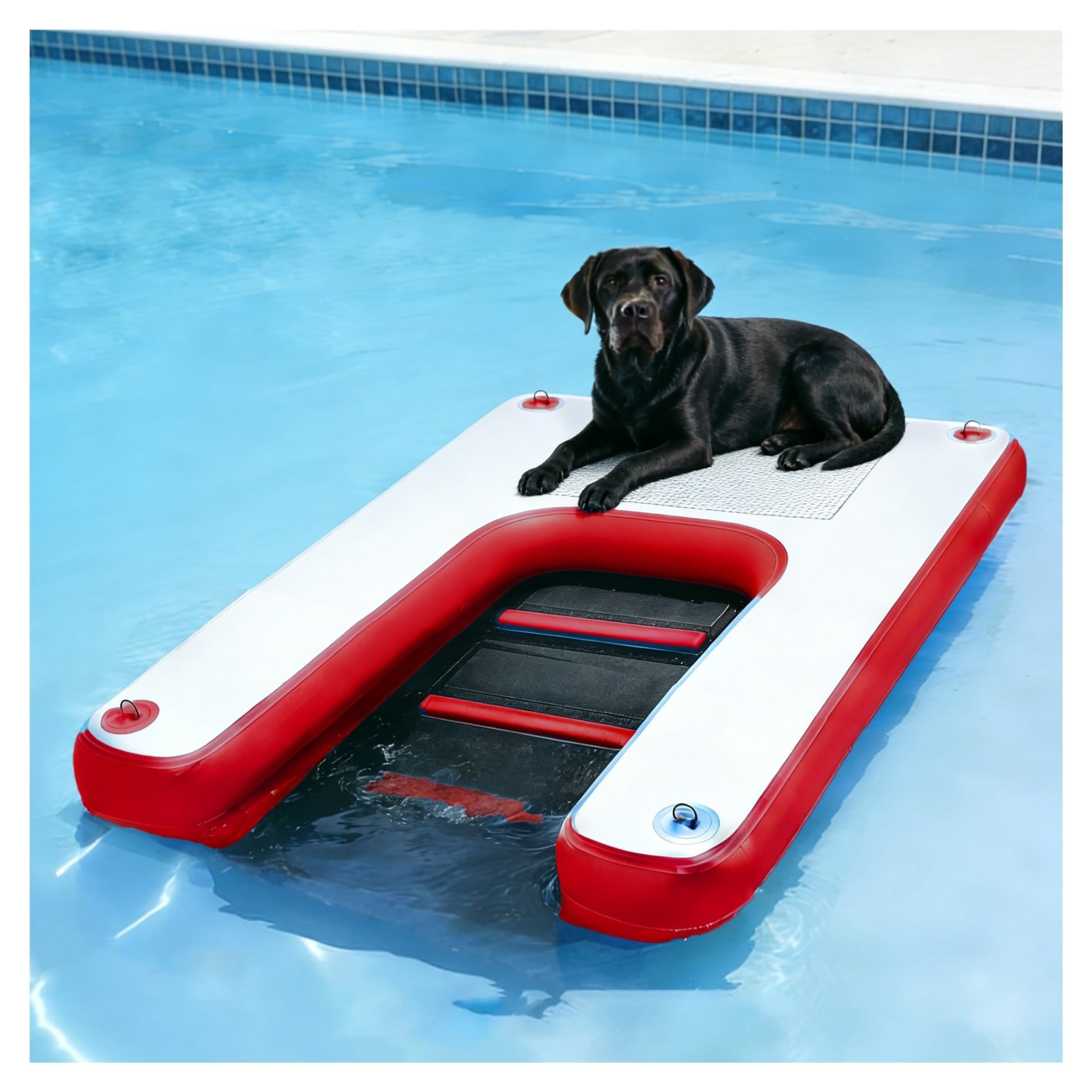 Plateforme flottante pour chien en EVA antidérapant avec marches lestées pour piscine