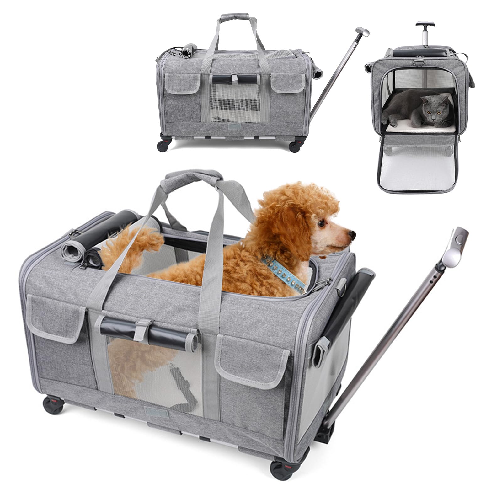 PETCUTE Trasportino per Gatti Cani con Ruote,Borsa da Viaggio Portatile per Animali Domestici con Manico Telescopico,Traspirante Pieghevole Trasportino per Cani con Cintura di Sicurezza Integrata