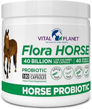 Vital Planet - Flora Horse Probiotic, High Potency Equine Probiotics with Prebiotics, 40 Billion Live CFU from Multiple Strains, Digestive and Immune Support, 180 Delayed Release Capsules 180 Days
