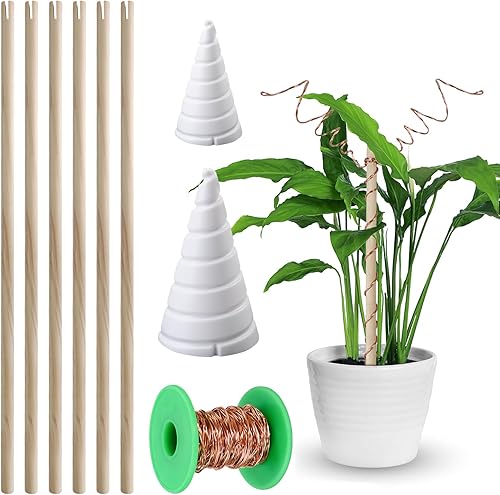 Antena de jardinería de cobre electrocultura, doble envoltura 99% alambre de cobre con plantilla de bobinado de bobina Fibonacci para plantas y