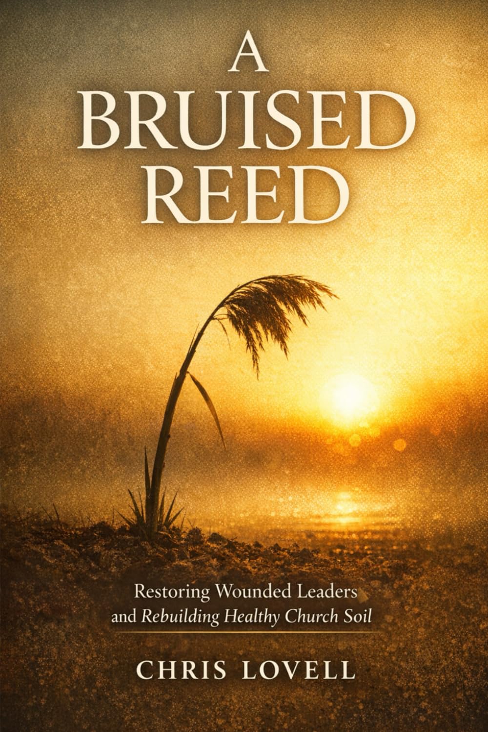A Bruised Reed: Restoring Wounded Leaders and Rebuilding Healthy Church Soil