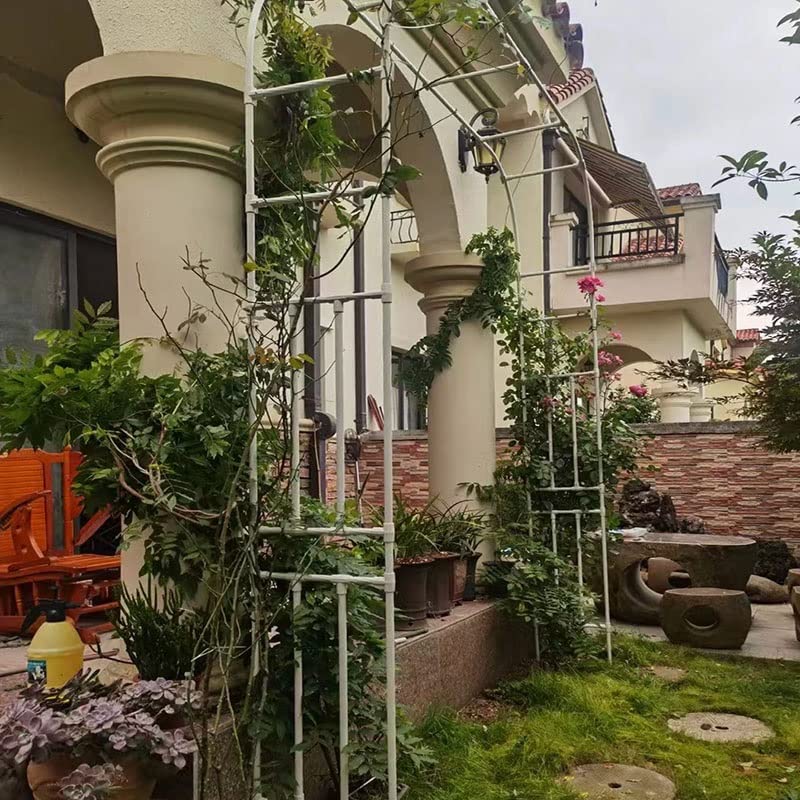 Metalowa pergola do łuku ogrodowego, stojak do pnącza, odporna na warunki atmosferyczne, biała, szerokość: 150 cm, 180 cm, 210 cm, 250 cm, 280 cm, 320 cm (rozmiar: 300 x 240 cm)