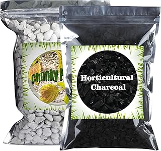 Organic Chunky Perlite 1qt & Horticultural Charcoal for Plants 1 qt