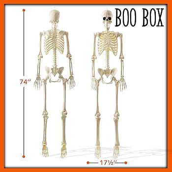 Amazon.com: BOO BOX 74