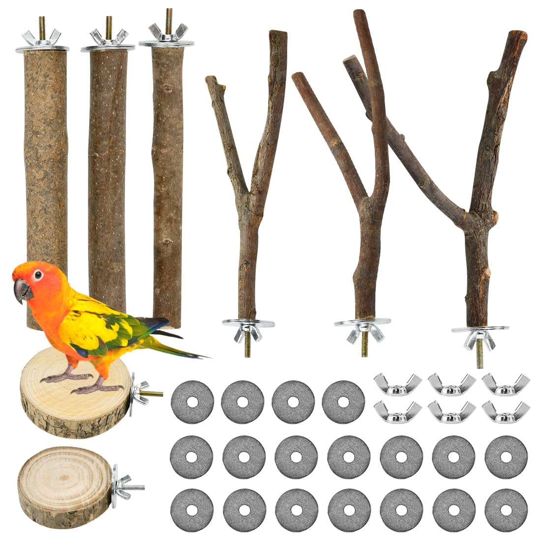8 Pezzi Posatoi in Legno di Uccelli Trespoli in Legno Naturale per Pappagallo Posatoio per Pappagalli Trespolo Supporti per Uccelli per Fringuelli Pappagalli Calopsitte Parrocchetti