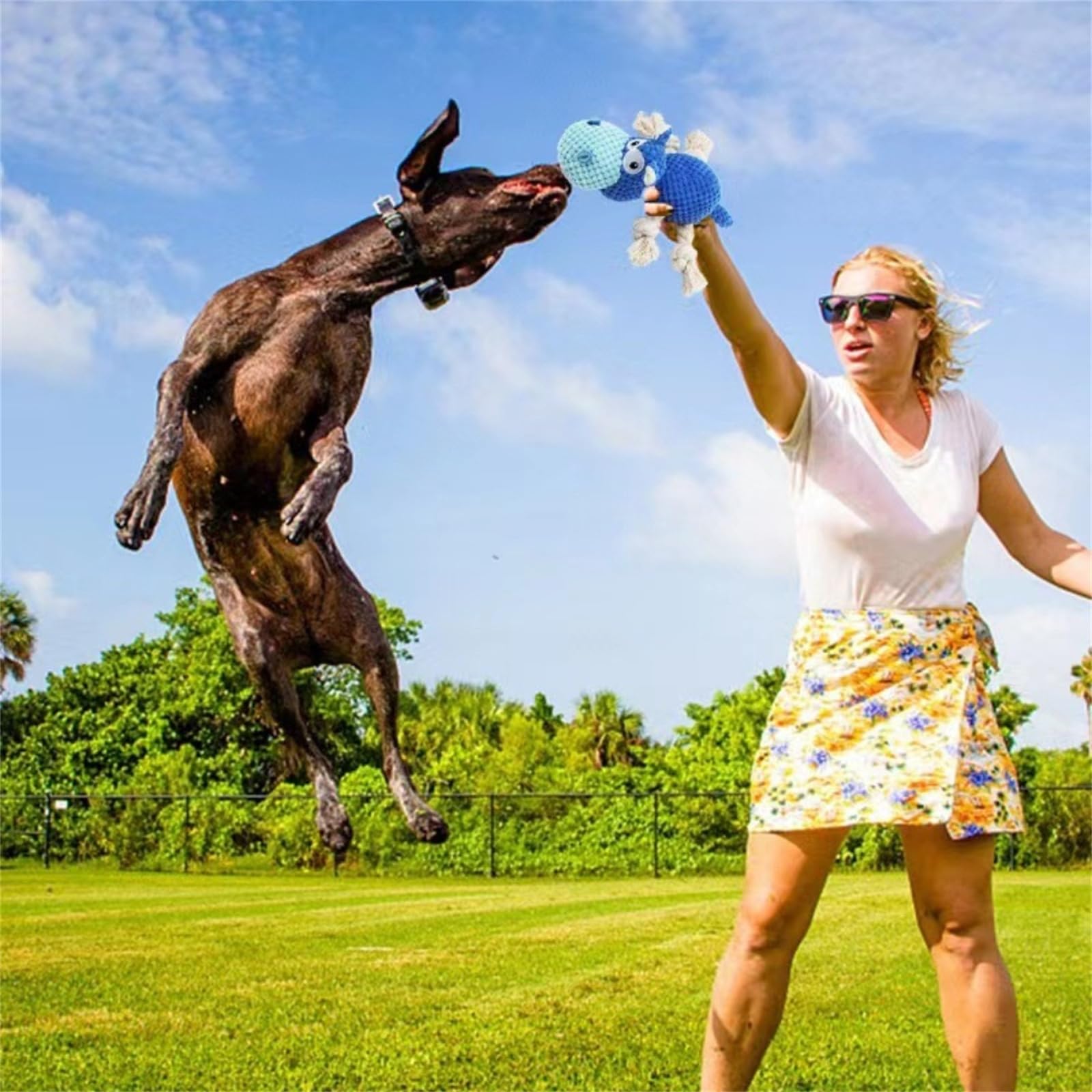 Hundespielzeug, Tauziehen Plüsch Hundespielzeug, Süßes Quietschendes Und Unzerstörbar, Interaktives Baumwollschnur Plüsch-kauspielzeug Klingendes Plüsch Für Aggressive Kauer (#A+#B+#C)