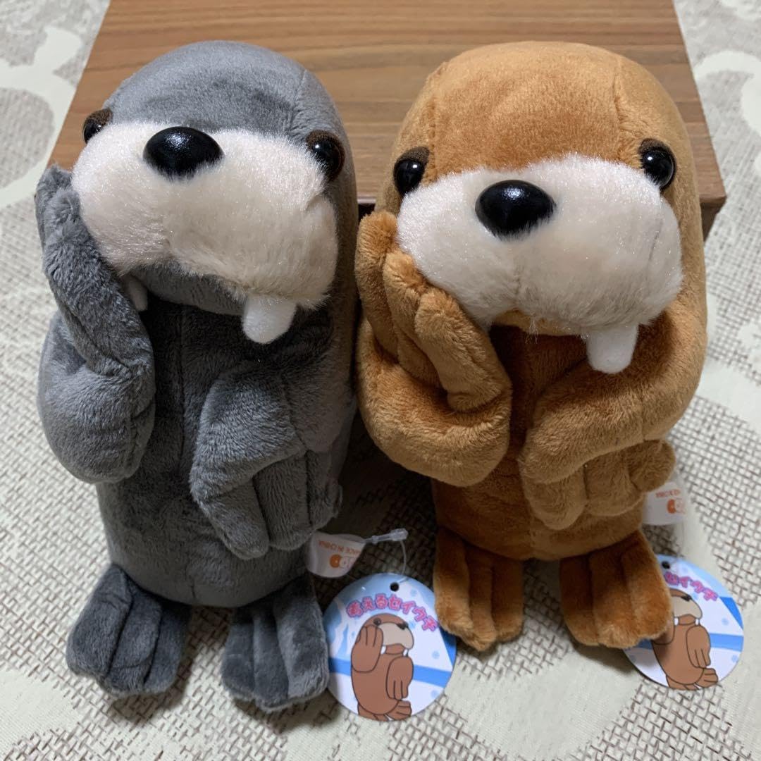 Amazon.co.jp: 伊豆三津シーパラダイス セイウチ ぬいぐるみ : おもちゃ