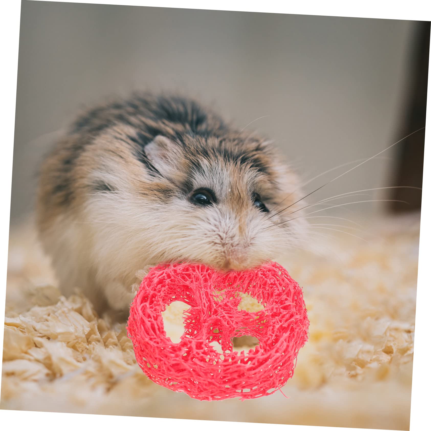 Housoutil 5sets Giocattoli Per Piccoli Animali Di Giochi Per Cani e Conigli Giocattolo Da Masticare Naturale Legno Per Criceti e Conigli Stimola Gioco e Salute