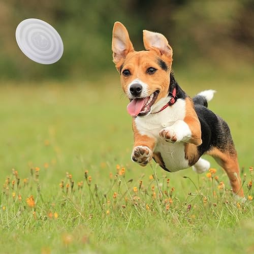 Miniatura 7 de SLSON Tazones plegables para perros con tapas de cubierta, paquete de 2 tazones de viaje para perros, portátiles, plegables, para gatos, para