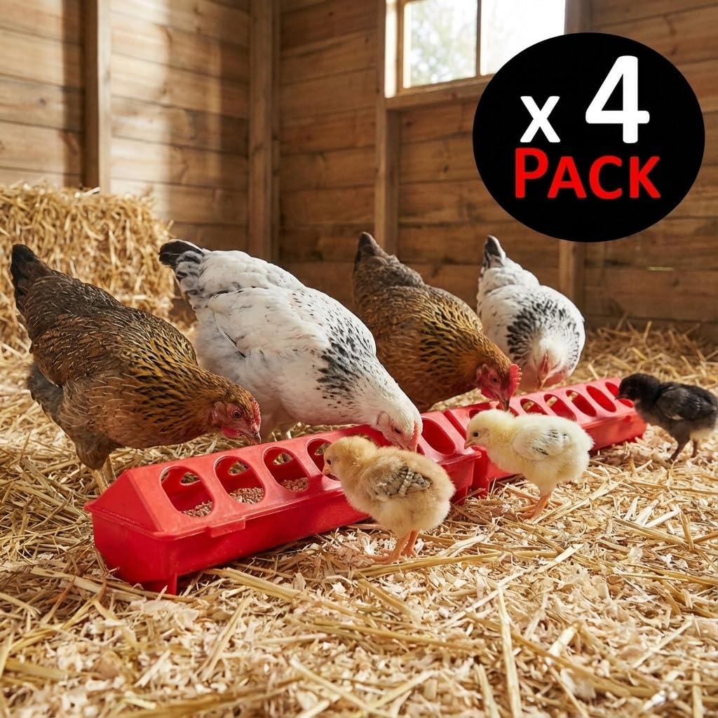 Suinga Pack 4 Mangimi in Plastica per Galline | Con Fori 100x12x13 cm | Mangime per Pulcini di 1ª Età | Canale Anti-Spreco | Ideale per 24 Galline