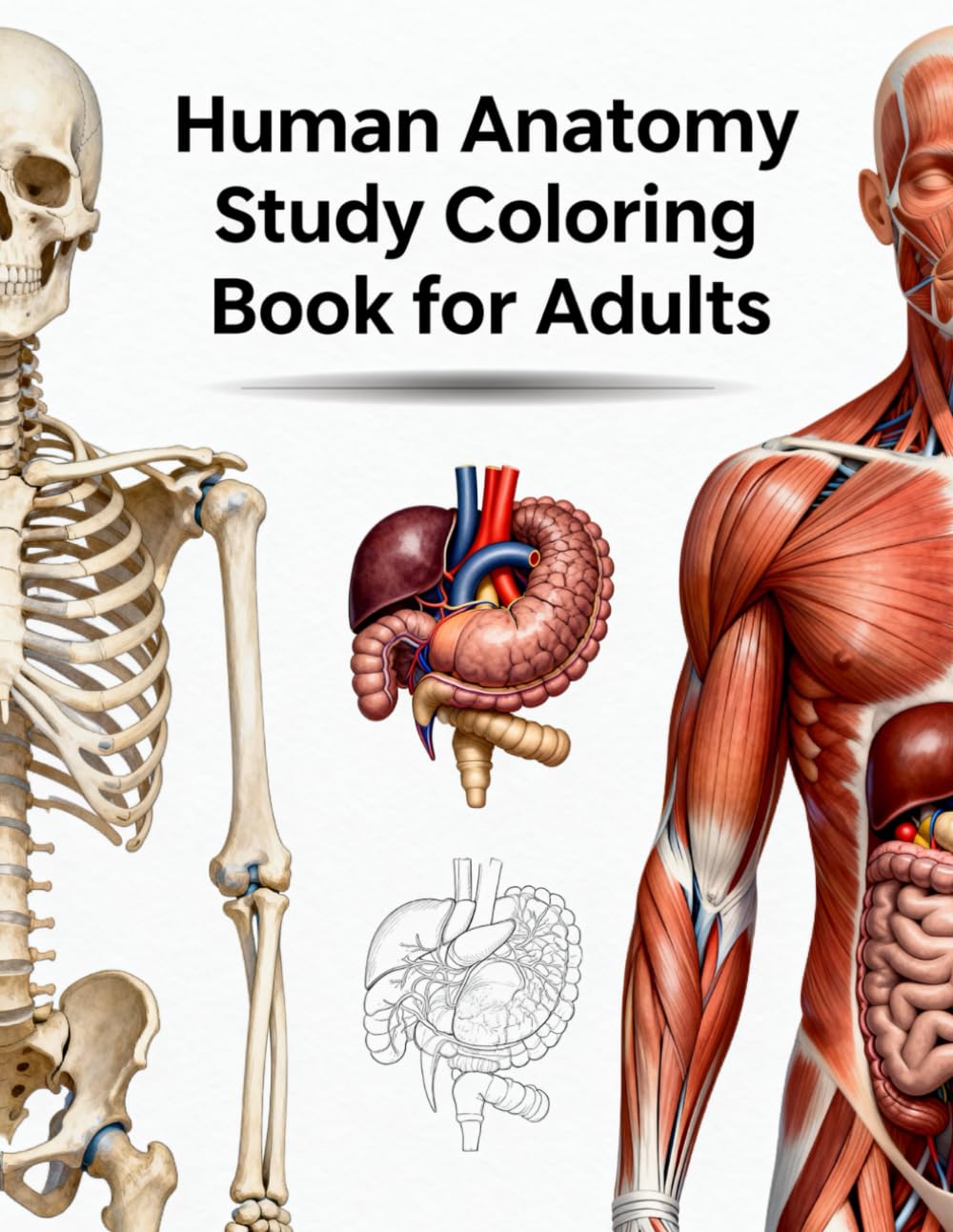 Human Anatomy Study Coloring Book for Adults: Learn Human Body Systems Easily Through Relaxing Coloring — Muscles, Bones, Organs, and Nerves for Smarter Study and Memory Retention