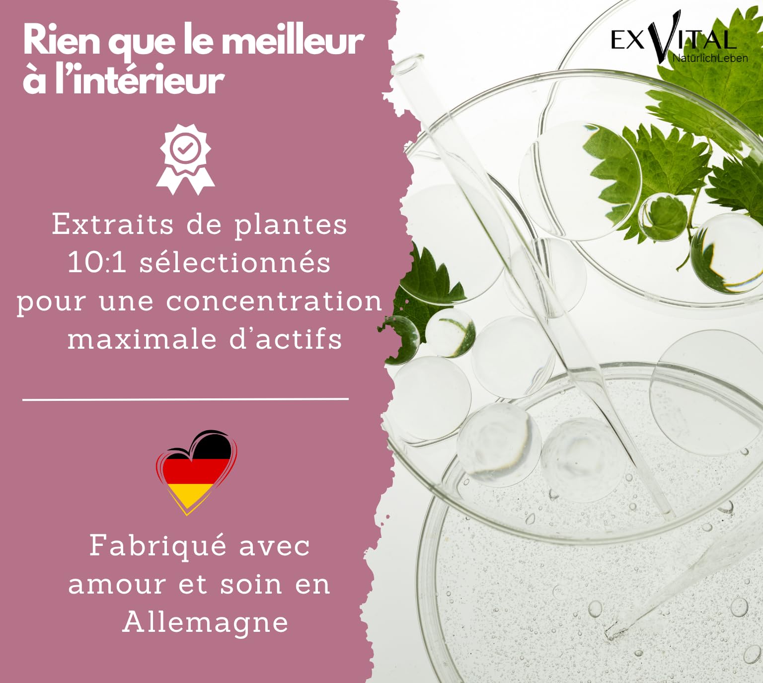 EXVital Biotine Complexe, Vitamines pour les cheveux, Avec extraits de palmier nain, de pépins de courge et de racine d’ortie, 240 capsules véganes, enrichies en sélénium et zinc, testé en laboratoire