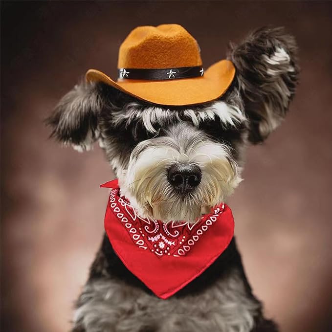 Disfraz de Vaquero para Perros y Gatos - Sombrero y Pañuelo miniatura 7