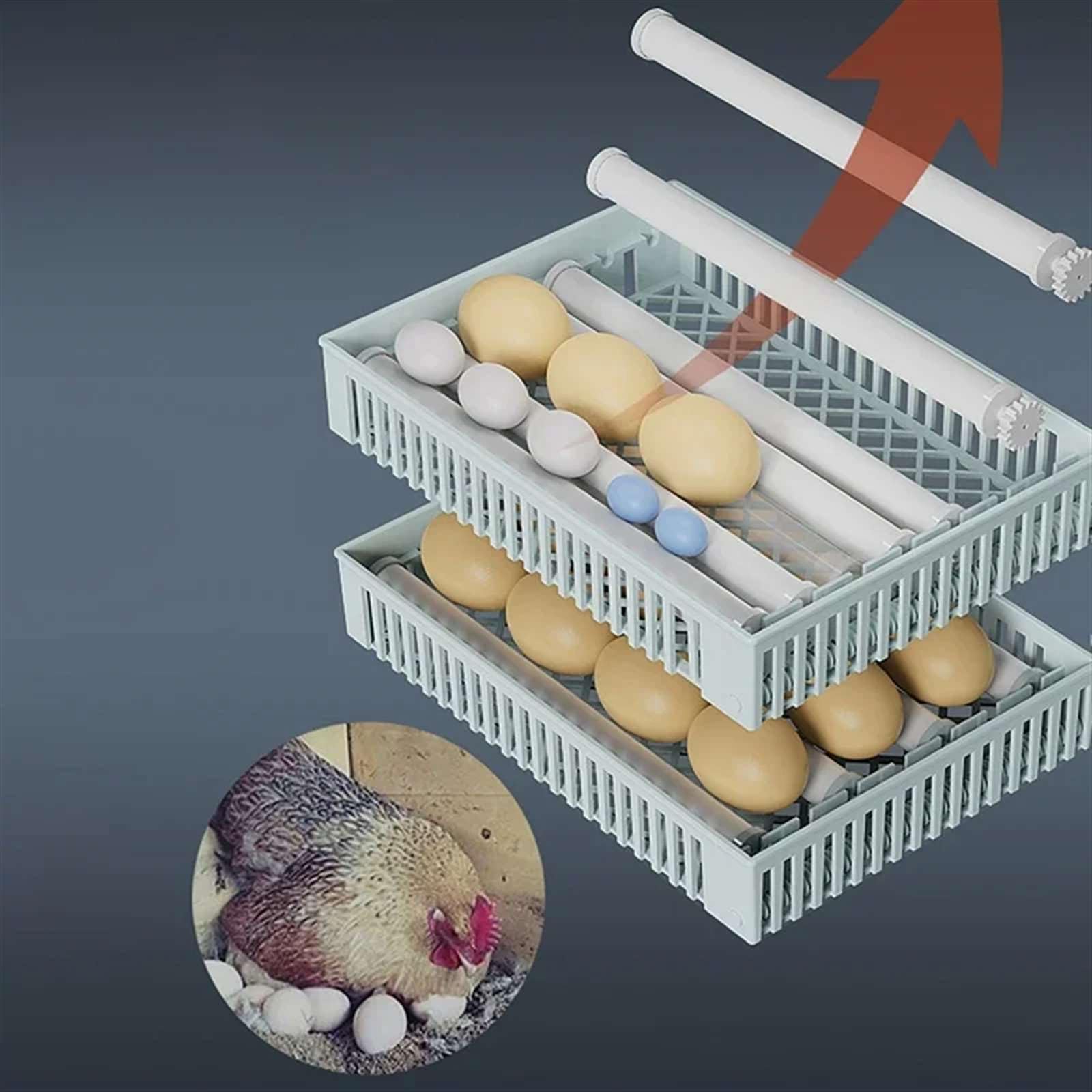 Incubadora Huevos Gallina, Incubadora Automática de Huevos para 24 Huevos, con Volteo Automático de Huevos y Humidificación Automática, Control Inteligente de Temperatura Pantalla Táctil