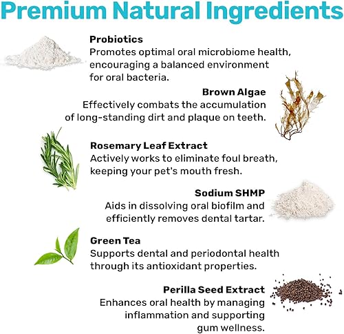 Miniatura 5 de Polvo dental  Dientes limpios, encías saludables y aliento fresco  Maneja la placa y la acumulación de sarro sin necesidad de cepillado  Formulado