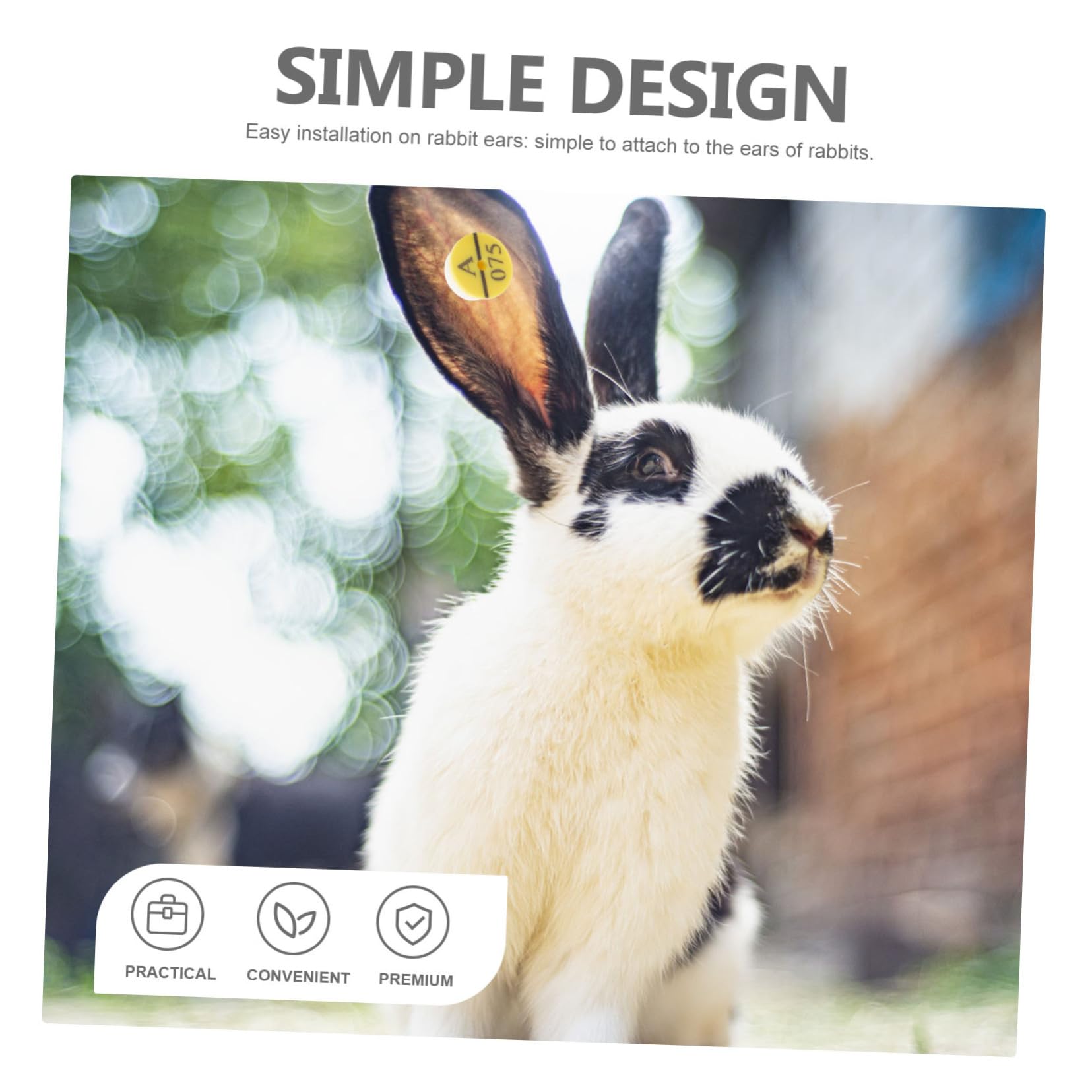 BESPORTBLE 250 Pièces étiquettes d'oreille de lapin Fournitures pour animaux Accessoires d'identification pour animaux étiquettes d'animaux d'oreille d'animaux Plastique
