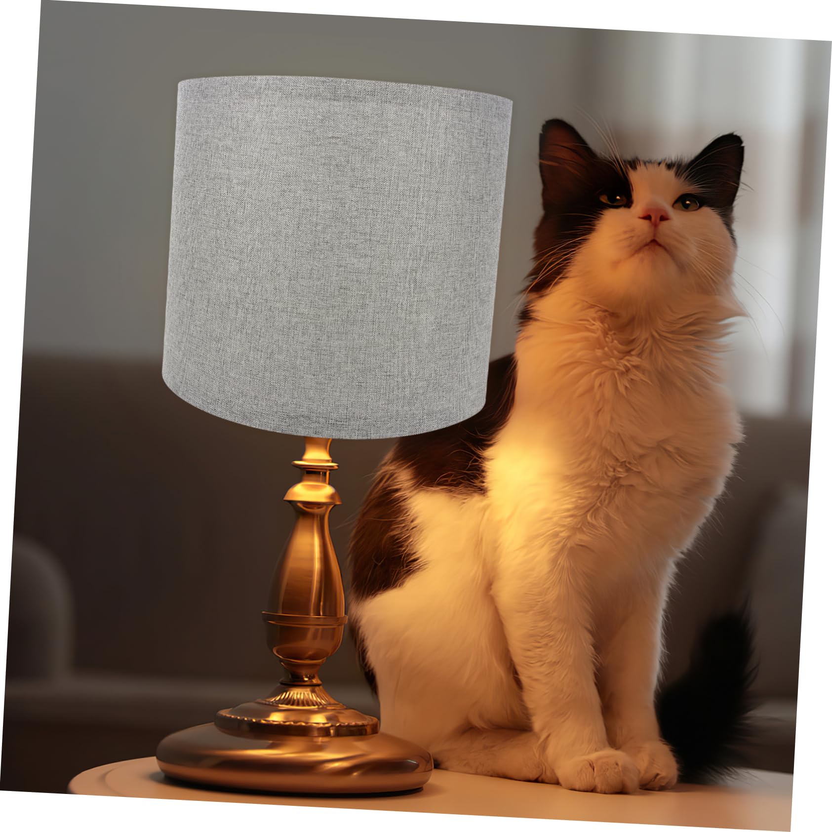 Uonlytech 2 Paralumi in Lino per Lampade da Tavolo e Terra, Luce Morbida, Design Smontabile, per Casa e Hotel