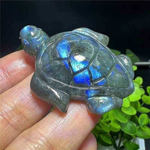 Miniatura 6 de TEAMWILL Labradorita natural tallada a mano tortuga cráneo cuarzo cristal curativo Reiki 1pc