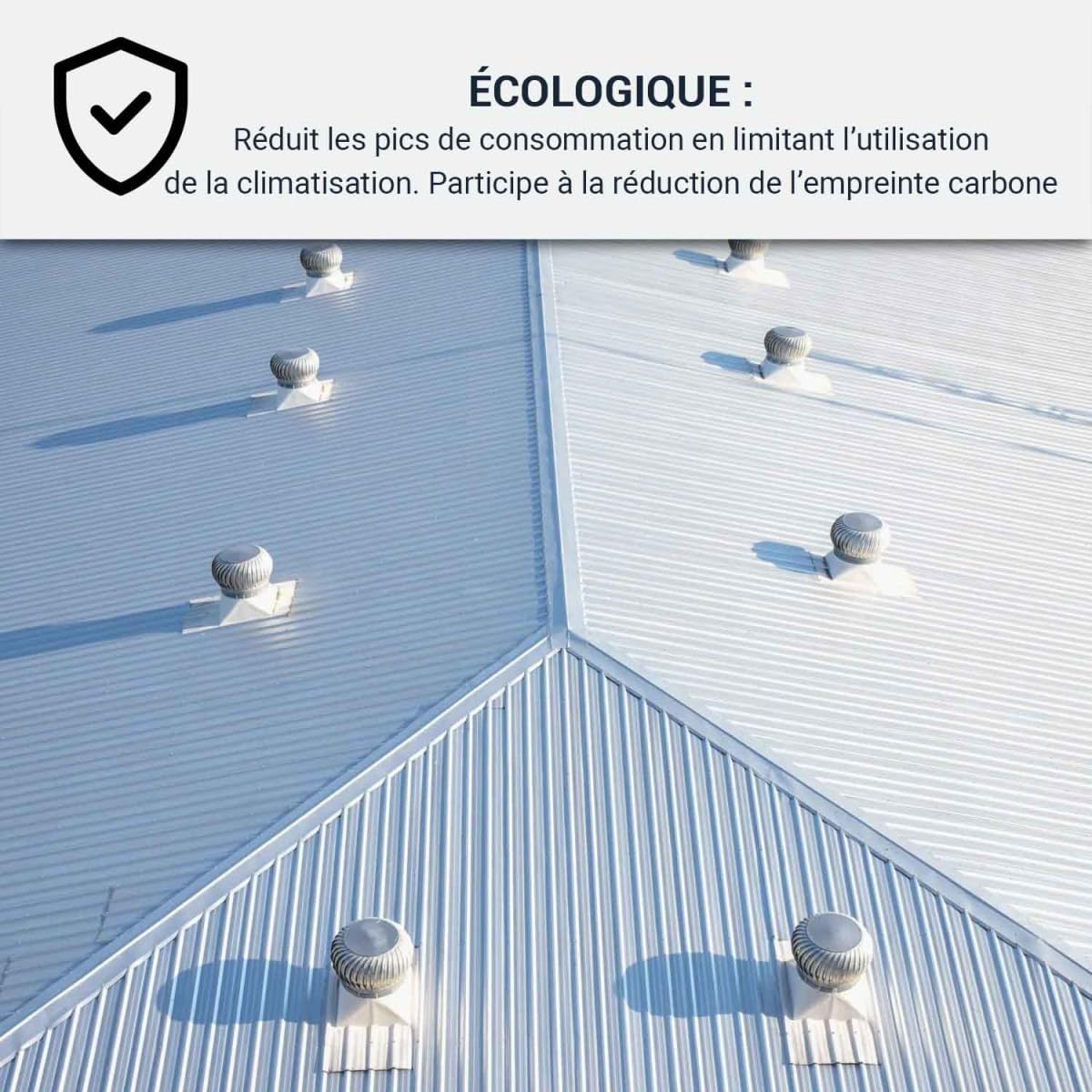 ARCANE INDUSTRIES Coolroof, toiture métallique étanche, anticorrosion - 2.5 L Blanc