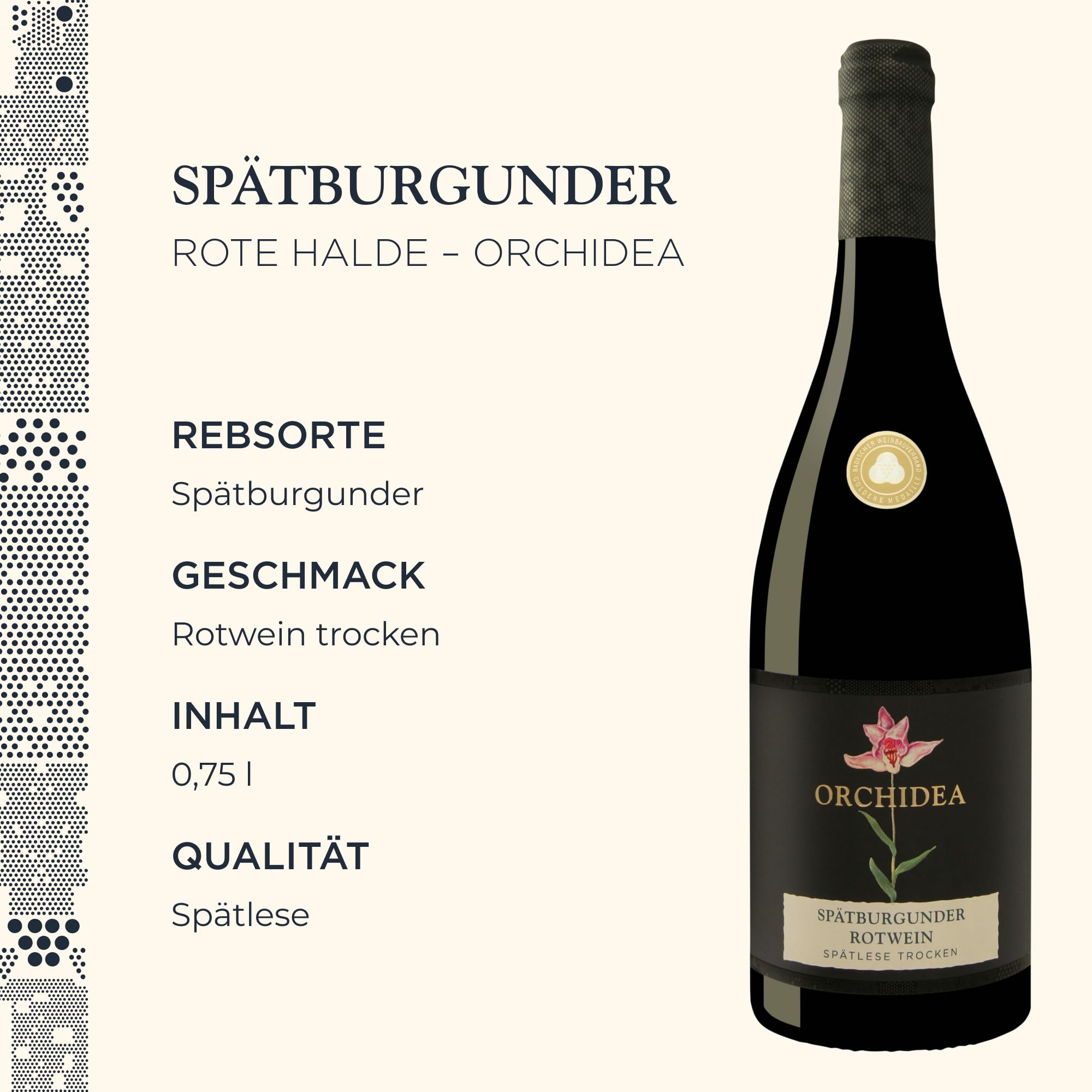 Sasbacher Spätburgunder Falstaff-Paket, Rotwein trocken 3x0,75 l | Spätburgunder Barrique Spätlese, Jäger-Wein QbA & Edition Orchidea Spätlese trocken, Falstaff prämierte Weine, Rote Halde