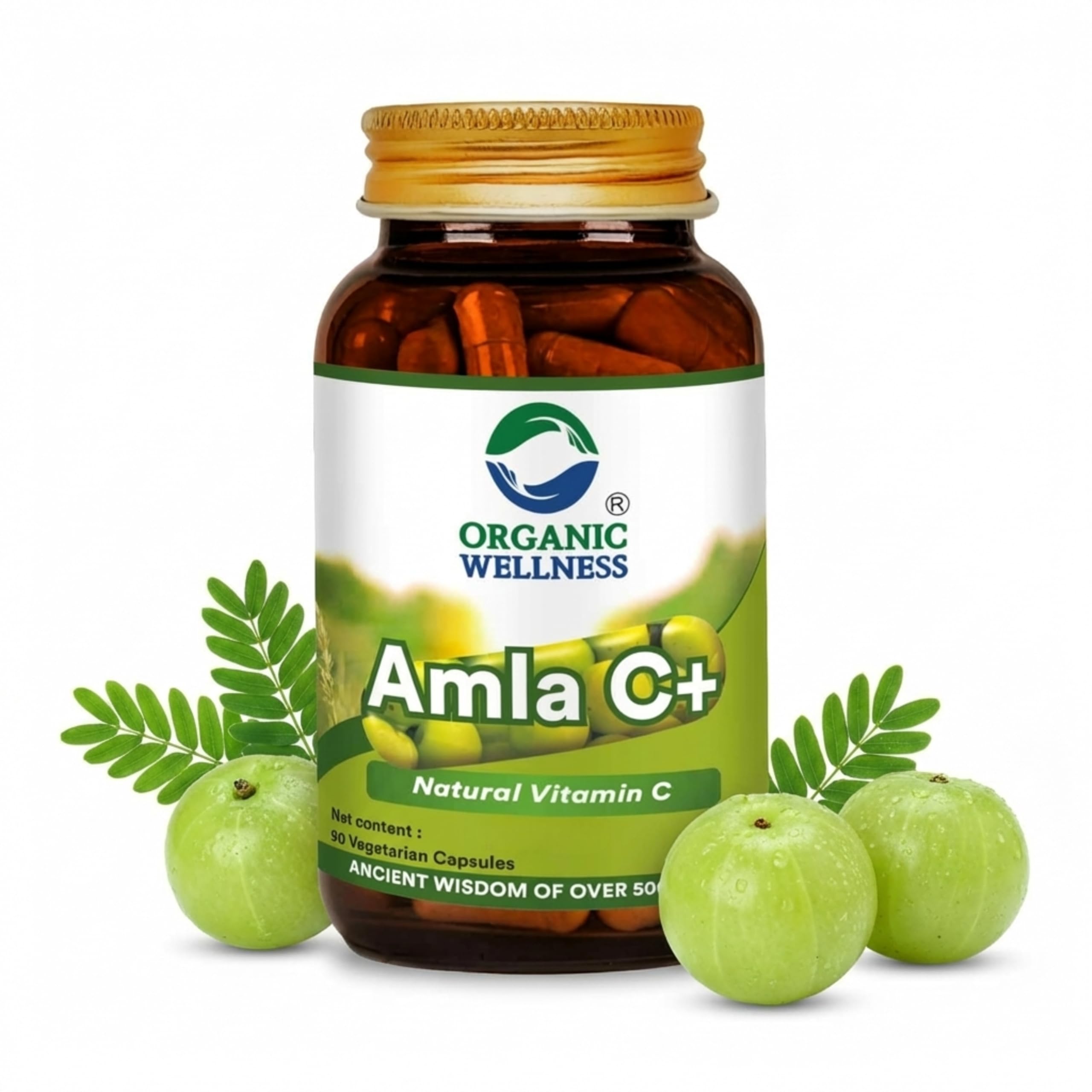 Organic Wellness Amla C+ Capsules 90 Veg | Natural Vitamin C Supplement (Amalaki) | Supports Hair Growth, Skin Health, Digestion & Metabolism | Organic, GMP Certified