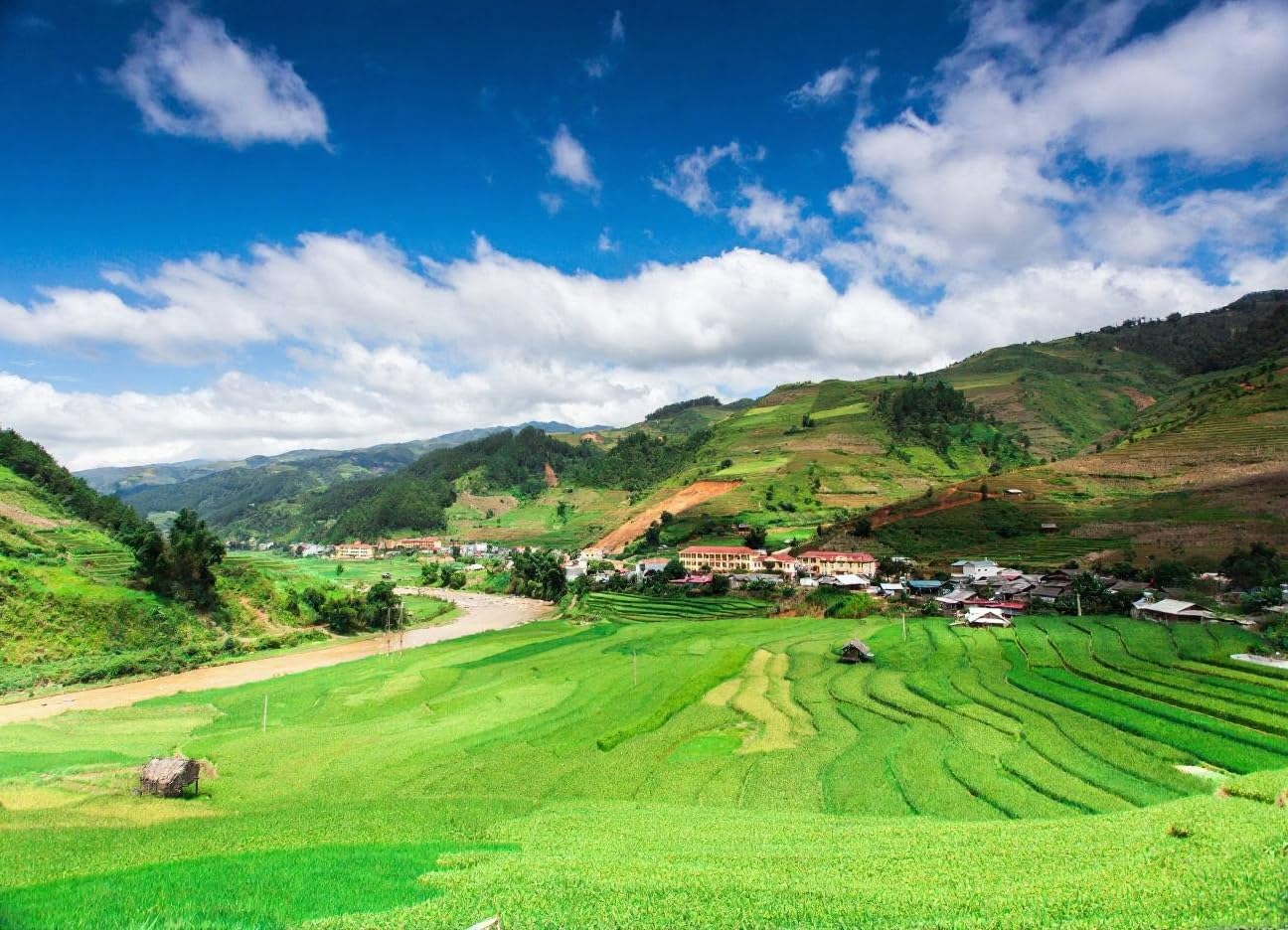 Champs de riz Mu Cang Chai affiche decoration murale adrium
