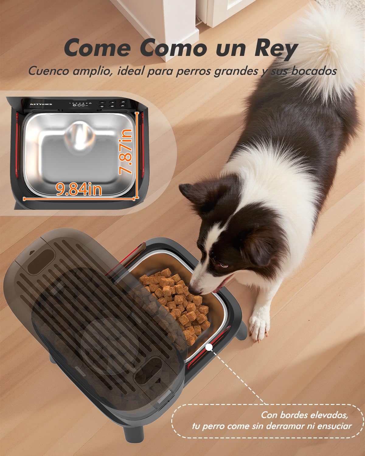 Comedero automático para Razas Grandes, 15L de Capacidad para Gato y Perro | Comedero automático 2-23mm, anti-atascos, soporte ajustable, grabación voz, doble alimentación, cuenco inox