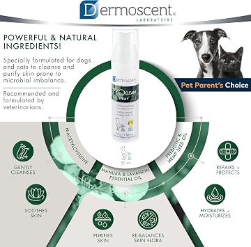 Dermoscent PYOclean Spray for Dogs & Cats Balances the Skin, Prevents Pimples, Chin Acne, Reddened Skin & Scabs, 50 ml (1.66 fl. oz.)