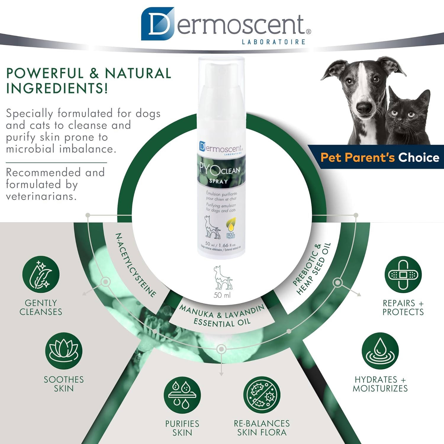 Dermoscent PYOclean® Spray for Dogs & Cats Balances the Skin, Prevents Pimples, Chin Acne, Reddened Skin & Scabs, 50 ml (1.66 fl. oz.)
