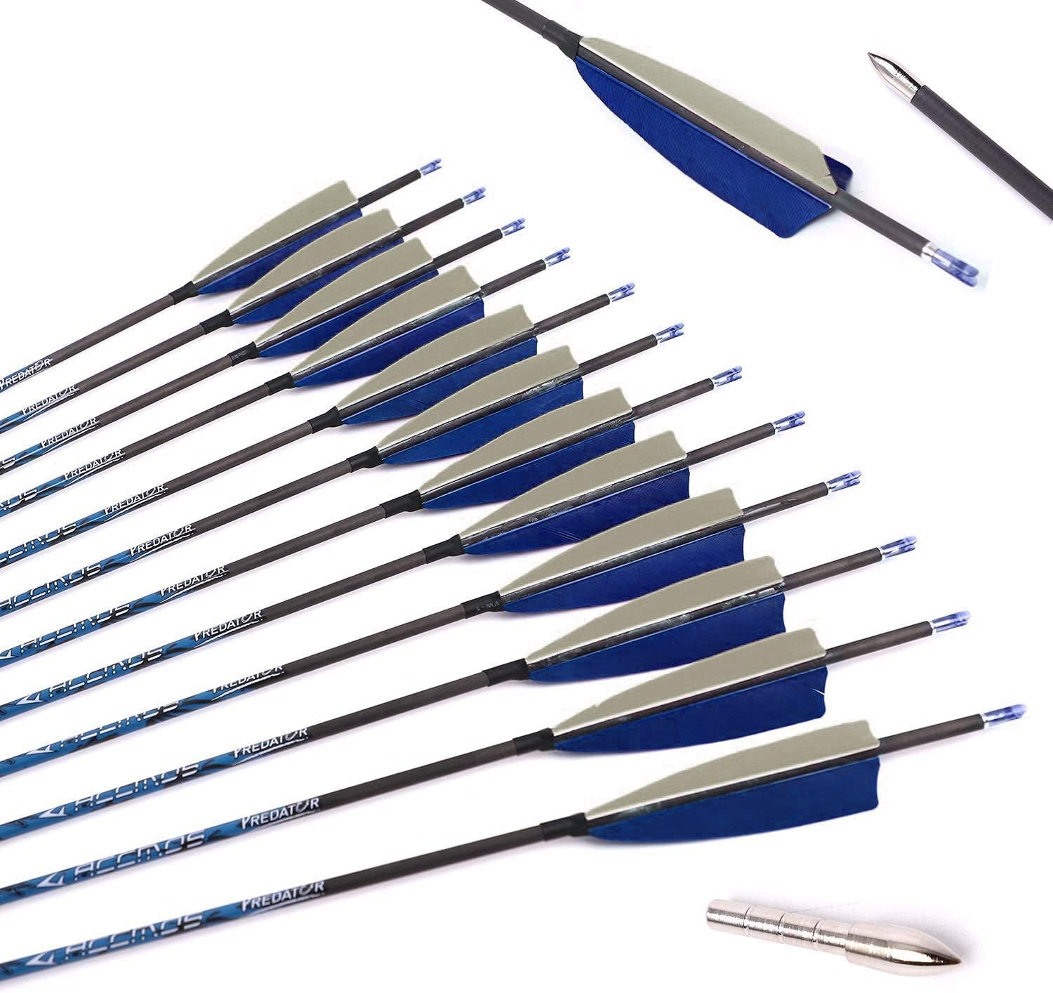 800Spine Arrow 31Inch Arrow Target Practice Arrow Hunting