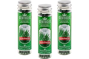 Scentsicles White Winter Fir Scented Sickles for an Enchanting Christmas Tree