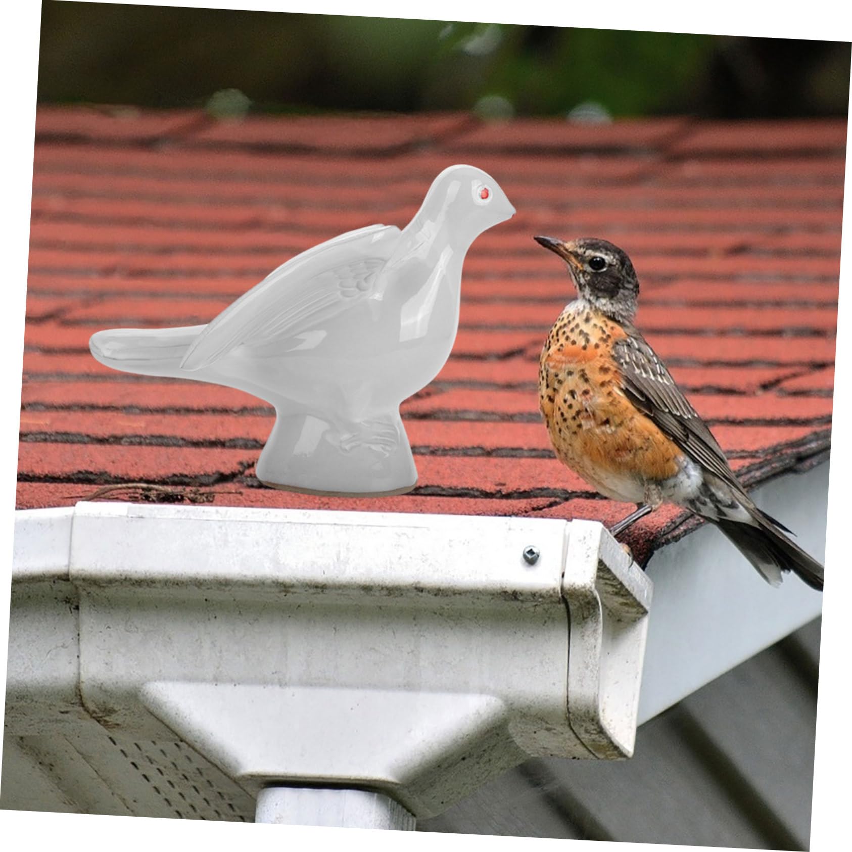  ピジョン 置物 ホワイト Amazon.com: JECOMPRIS White Porcelain Pigeon Statue Antique