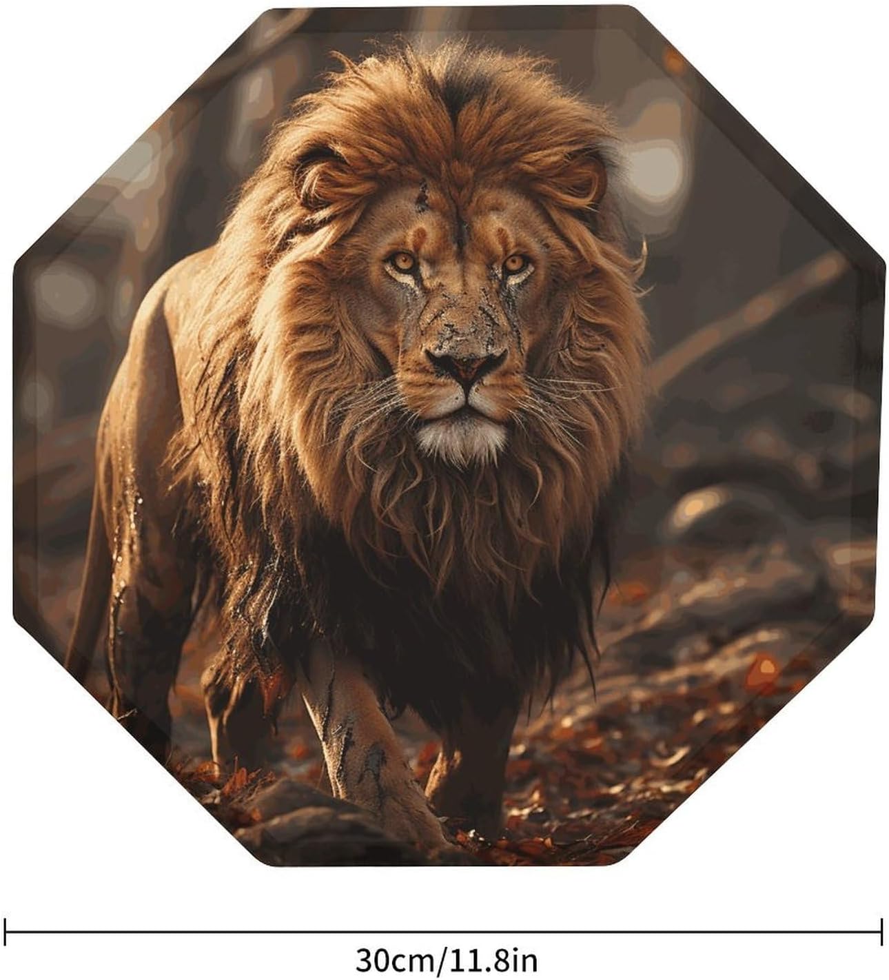 Ctagon Metal Sign for Home, Modern Display Plate for Kitchen, Lion Image Plates Accent Hanging Wall Decorations 3PCS for Living Room, Bedroom, Hallway, Hotel