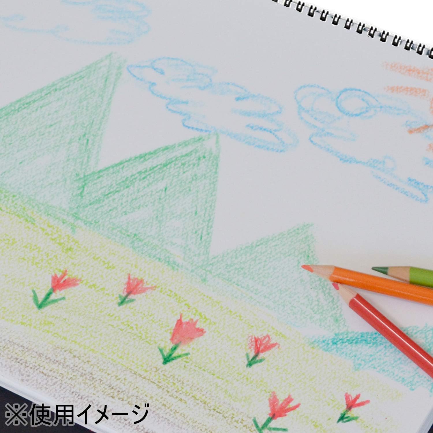 Maruman S110 Sketchbook, B3 Design Series, Drawing Paper, Normal Port, 20 Sheets