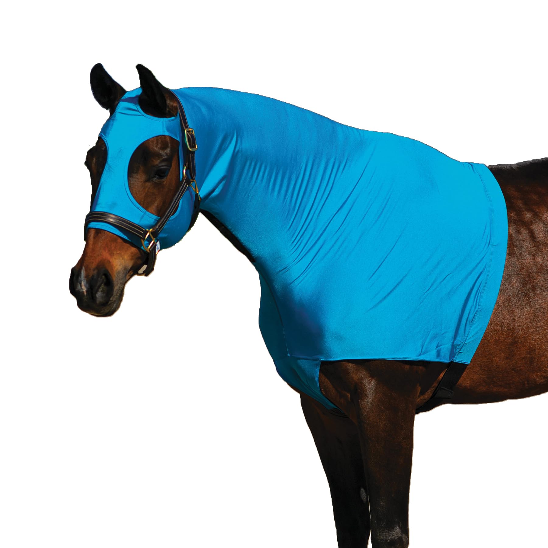 Dura-Tech 3/4 Zip Horse Slicker Hood | Ultimate Mane Control for Equestrian Success | Lightweight Design for Comfort and Flexibility | Color Turquoise | Size Large