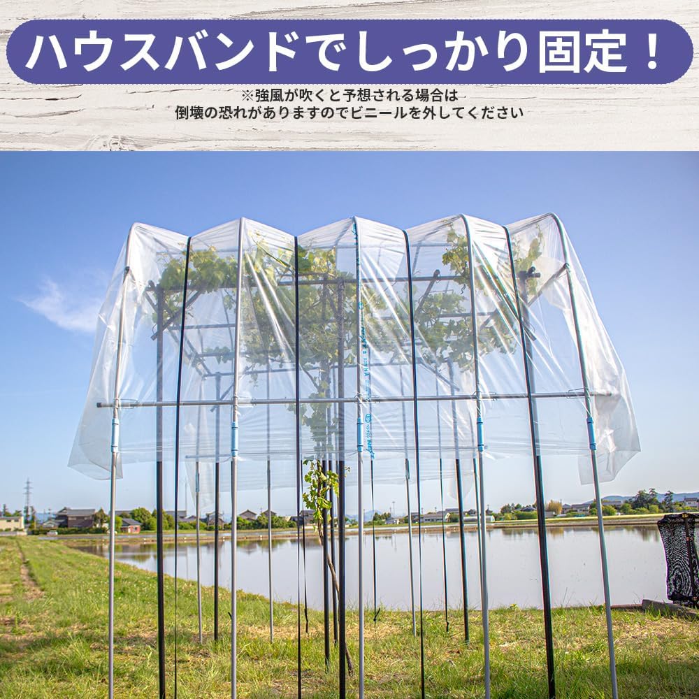 【未開封‼️新品❣️】果樹棚セット 2m x 2m 藤棚　葡萄棚　キウイ棚　バーゴラ 未開封‼️新品❣️】果樹棚セット 2m x 2m 藤棚 葡萄棚 キウイ棚