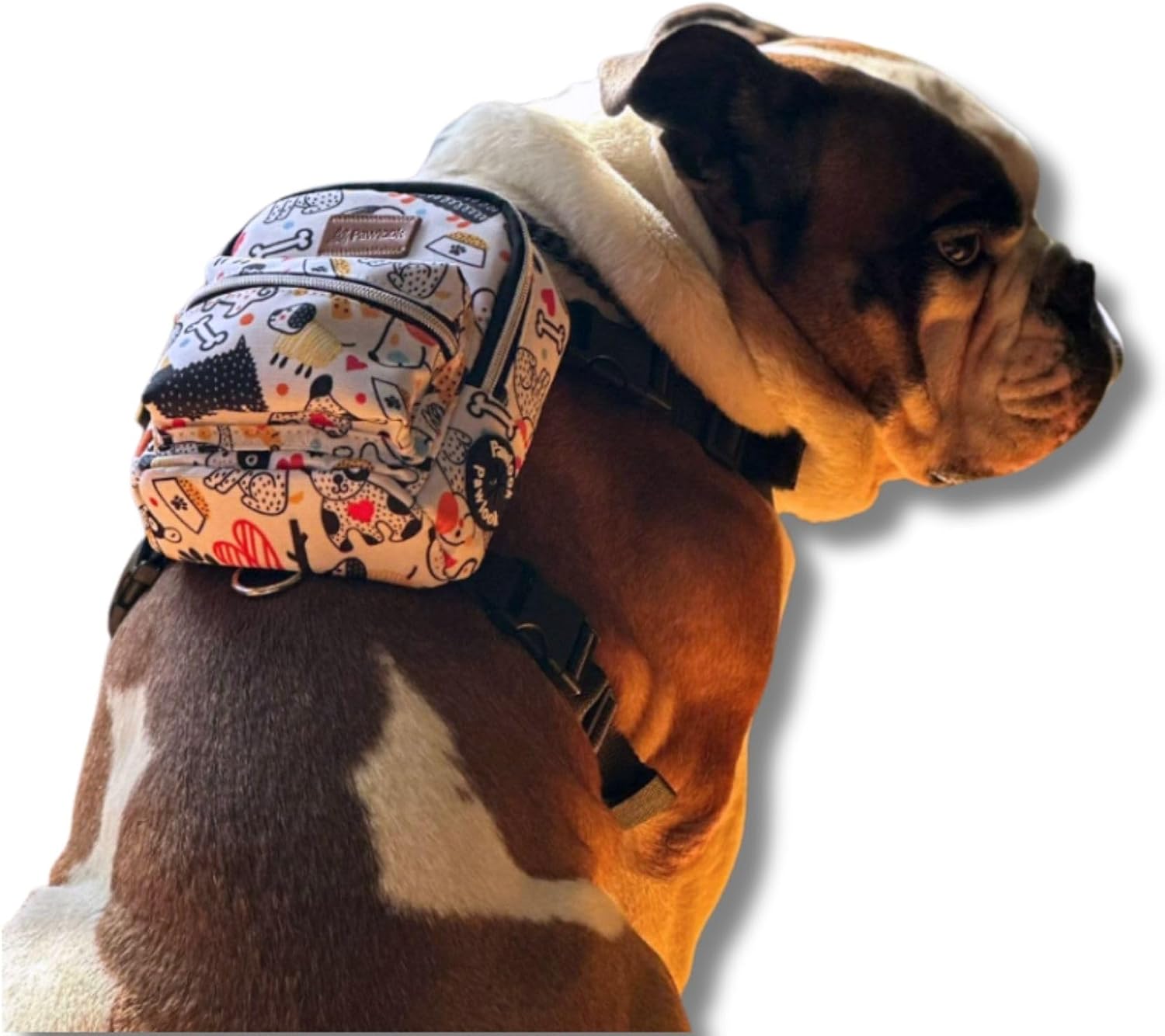 Köpek Sırt Çantası – 2’si 1 Arada Göğüs Tasması Fonksiyonlu, Geri Dönüştürülmüş, Su Geçirmez, Ayarlanabilir, Küçük & Büyük Irklar için, Çantalı Göğüs Tasması,Small,Whitebone