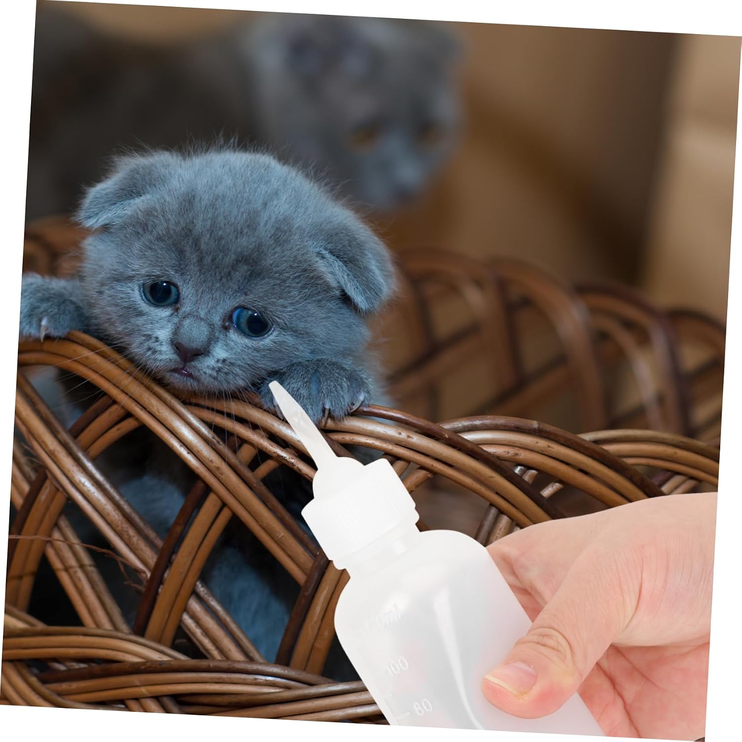 120ml PET Feeding Bottle Set for Dogs and Cats Reusable Nursing Bottle for Puppies and Kittens Small PET Supplies Comfortable to Hold Design