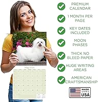 Vista 612 de Razas de Perros 2017