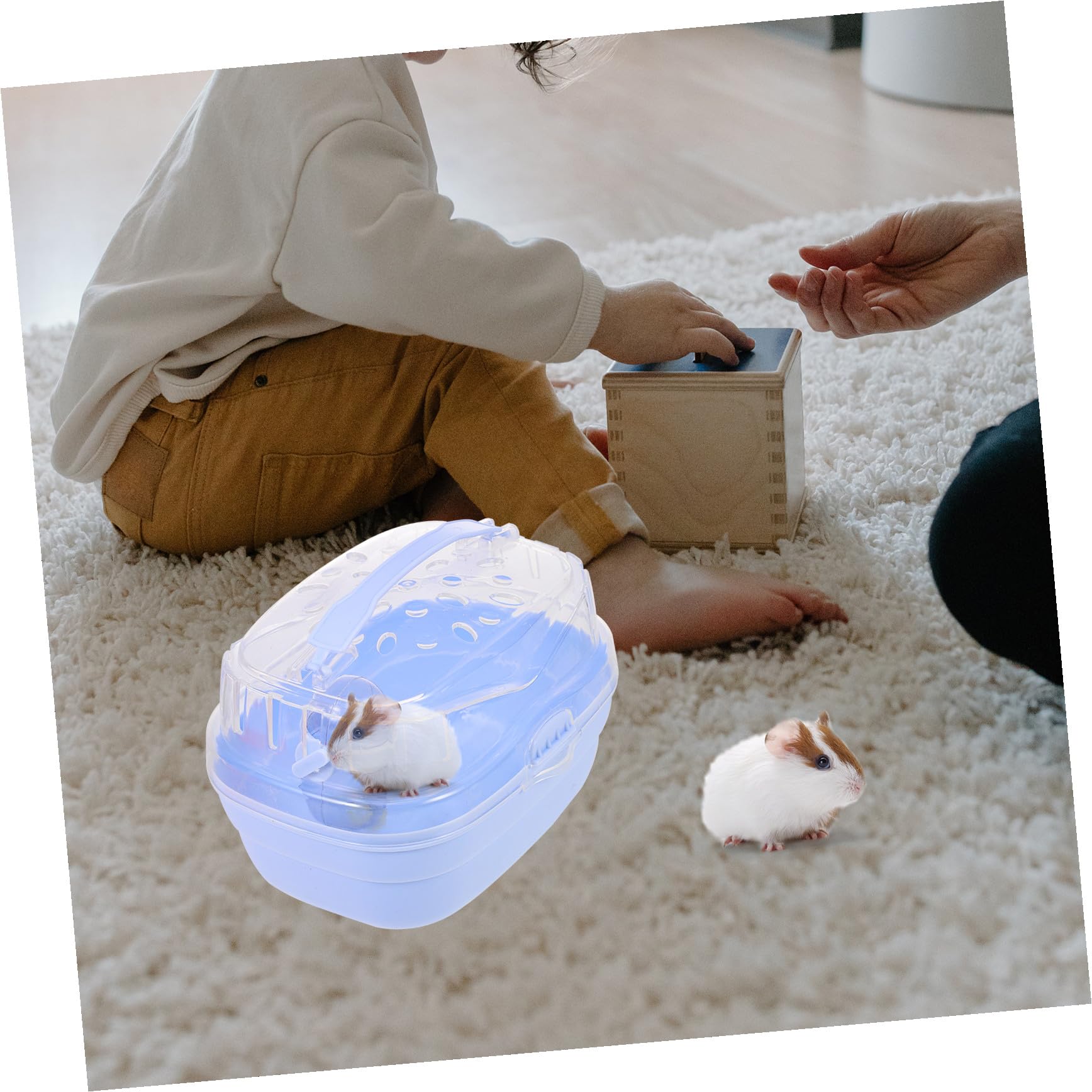 Tragbare Hamstertransportbox für Kleine Tiere und Mäuse aus Pp