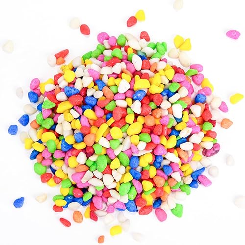 Miniatura 9 de Aditivo de suelo de roca de lava hortícola negra de 5 libras para cactus, rellenos de jarrones, suculentas y plantas de terrario, sin tintes ni