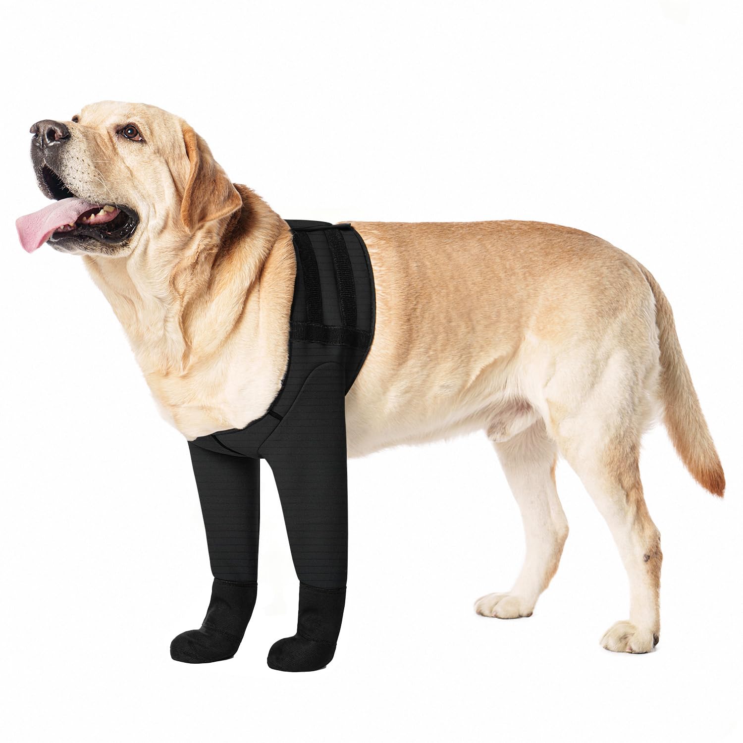 Chaussettes pour chien L noires imperméables et antidérapantes
