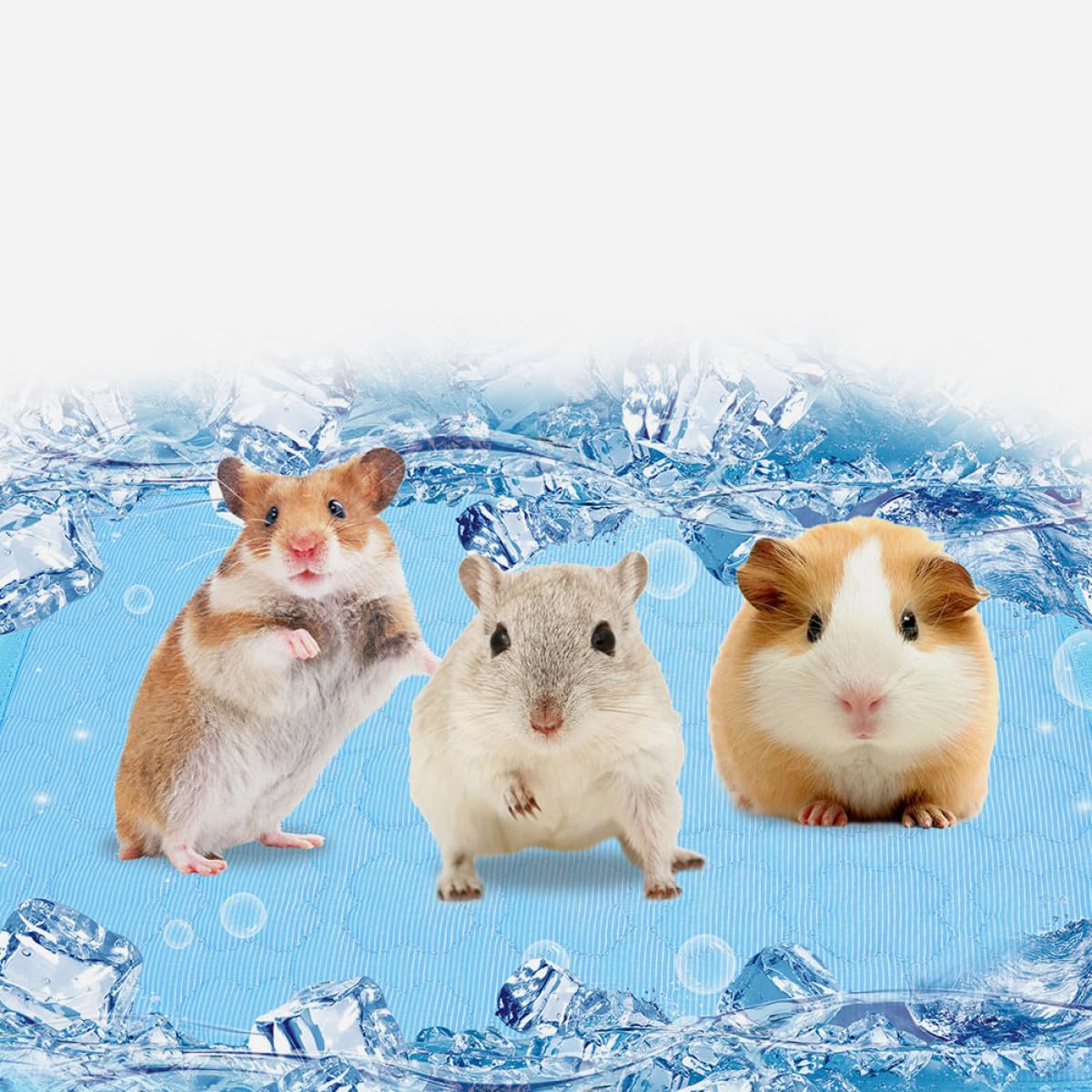 Alasum 6 Stück Tragbare Kühlmatten für Kleine Haustiere Waschbare Hamster Trainingskissen aus Geruchlosem Sicherem Material Kühlend und Langlebig für Sommer und Welpen